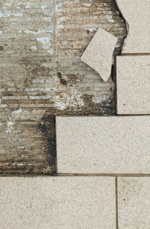 Damaged Tile Repair